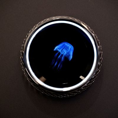 鿴ϸϢ⣺Ħȫϵ Ķ65